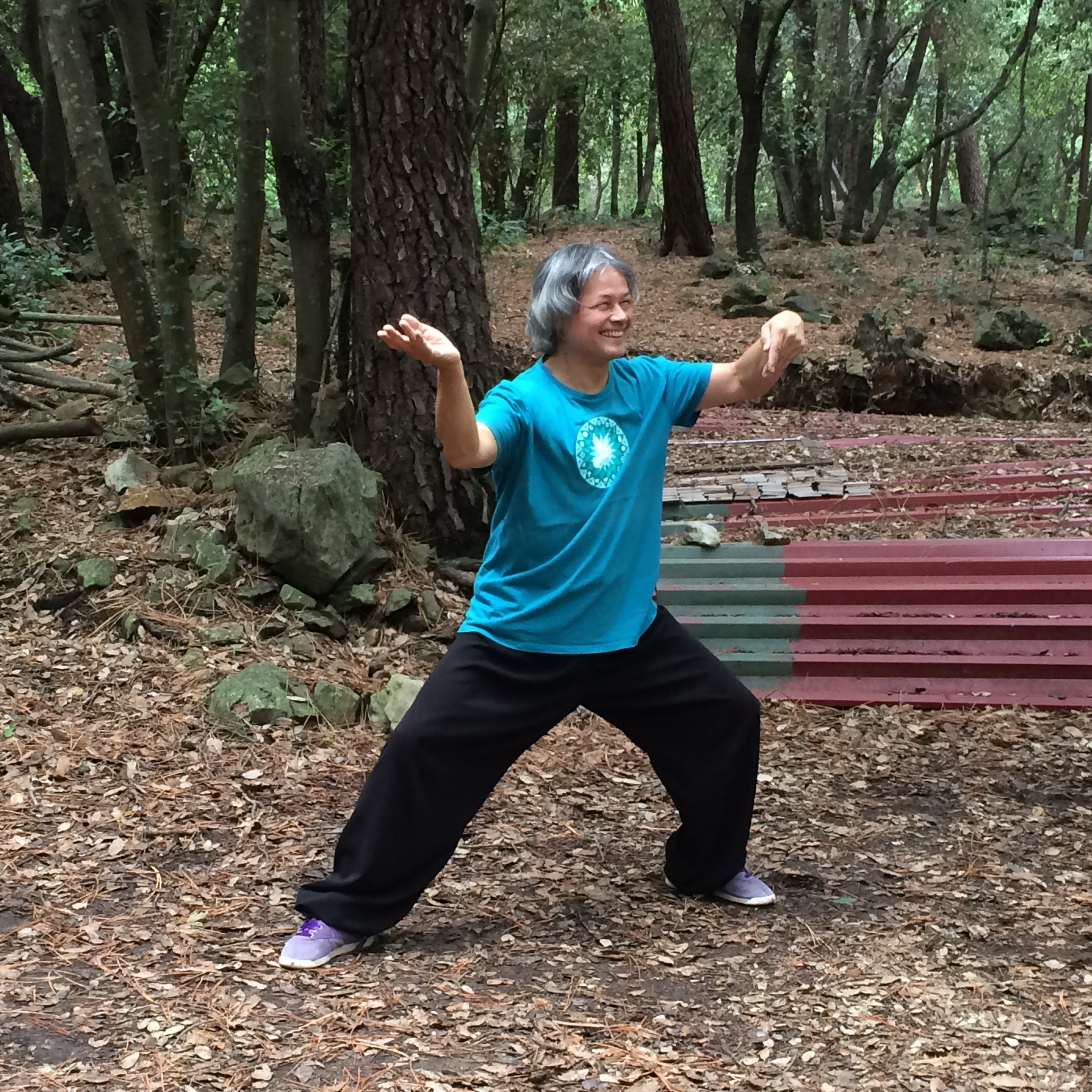 tai chi style Chen