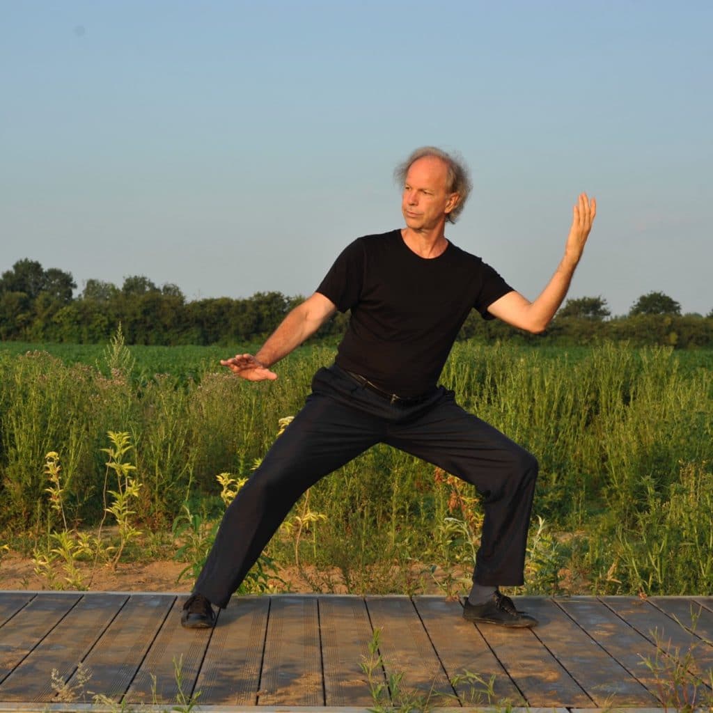A la découverte des 5 styles majeurs de tai chi chuan pratiqués et enseignés