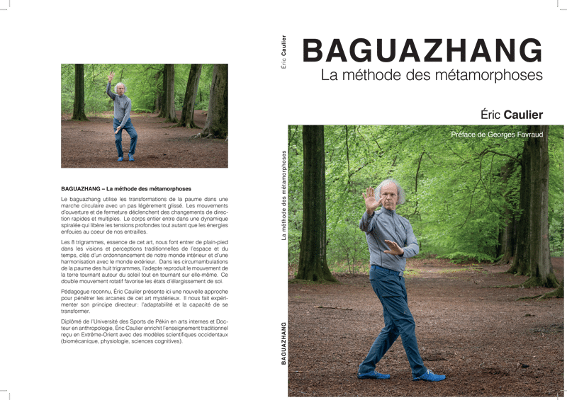 BaguazhangCover